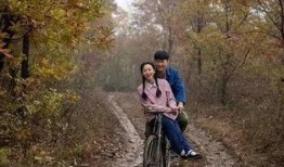 电视剧何三妹全集在线观看,传奇人生，情感纠葛，全集在线观看