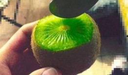 抖音网红吃瓜基地叫什么,揭秘网红圈幕后故事